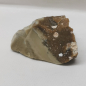 Preview: Opalisiertes Versteinertes Holz